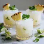 Pineapple Coconut Spritzer Recipe
