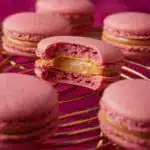 Macaron Recipe for Beginners Recipe