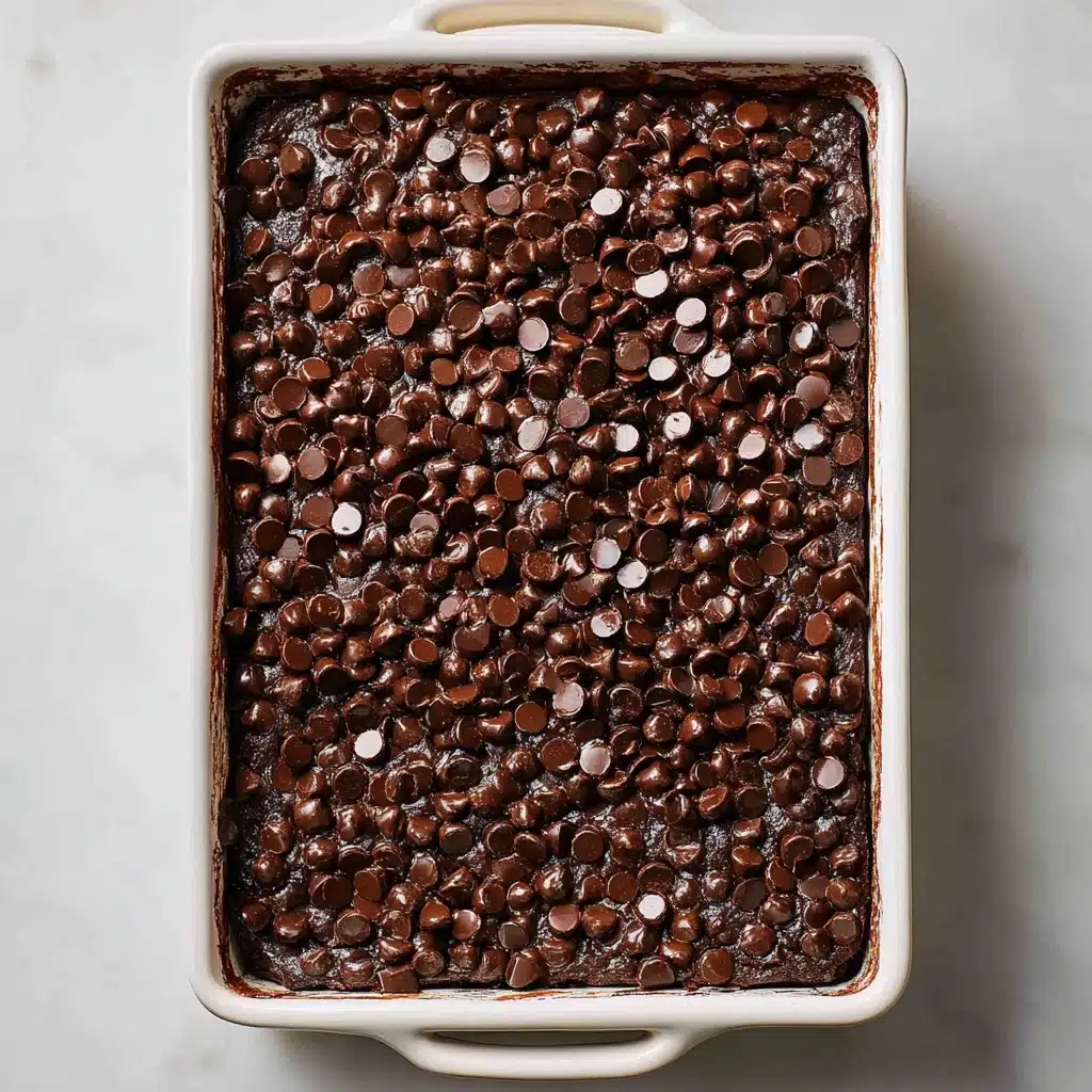 Chocolate Dump Cake Recipe - Recipe Image