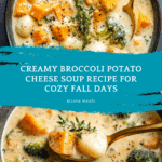 Broccoli Potato Cheese Soup Recipe