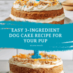 3-Ingredient Dog Cake Recipe