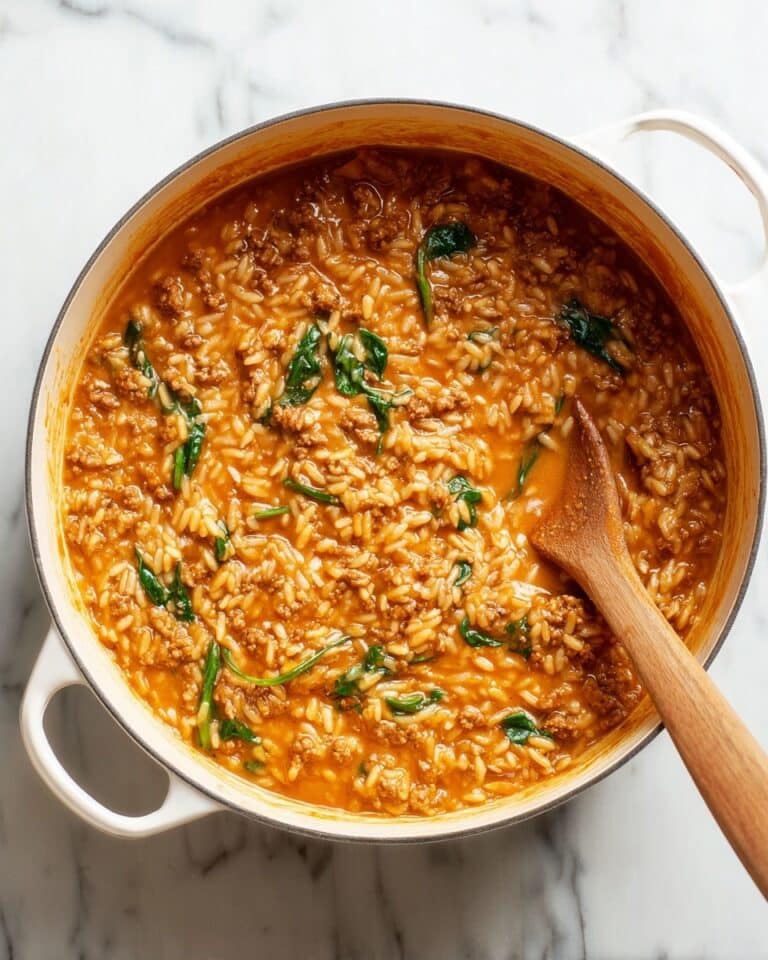 Ground Beef Orzo with Tomato Cream Sauce Recipe