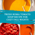 Fresh Tomato Soup with Roma Tomatoes Recipe